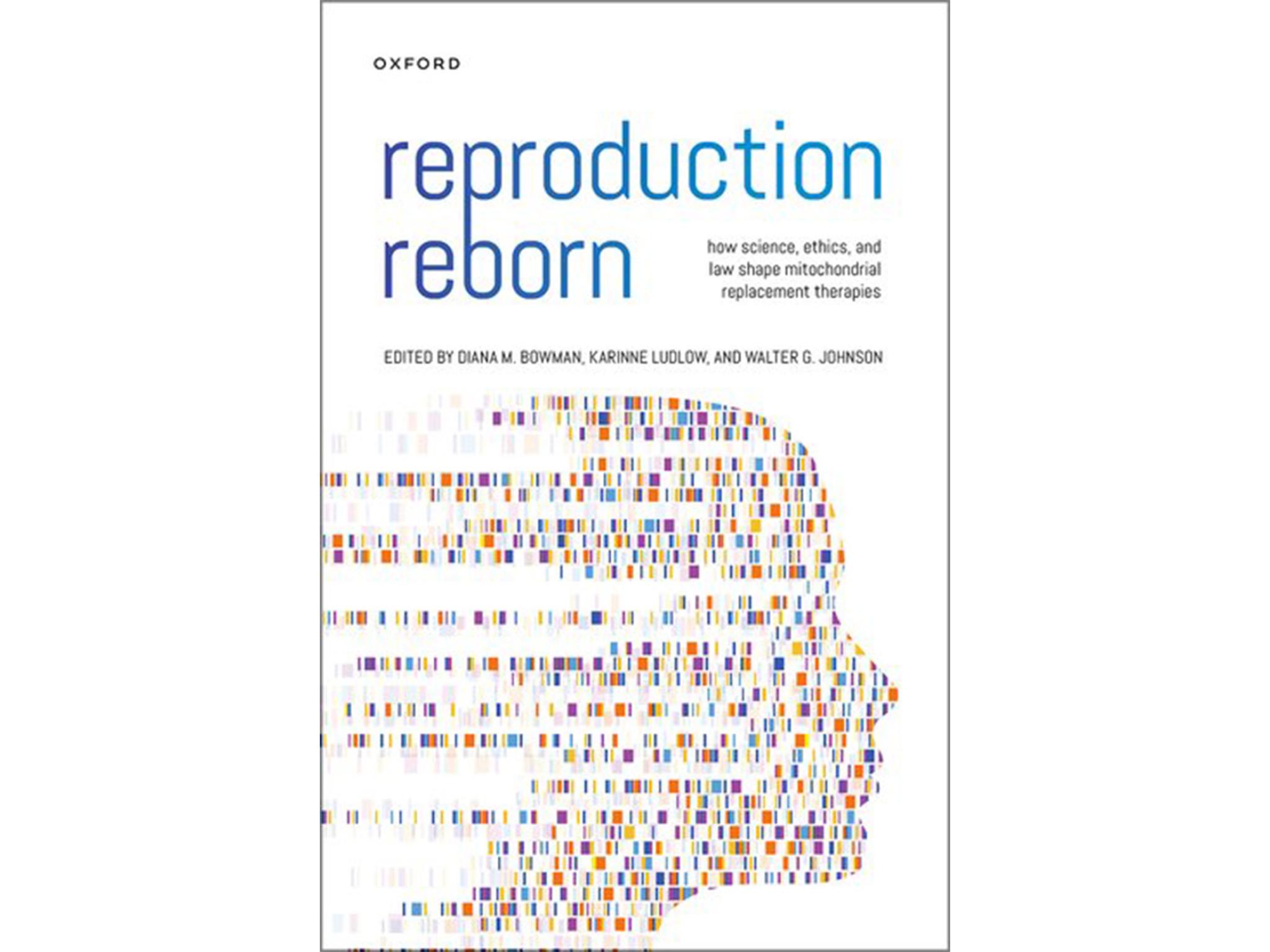 Reproduction Reborn_RegNet