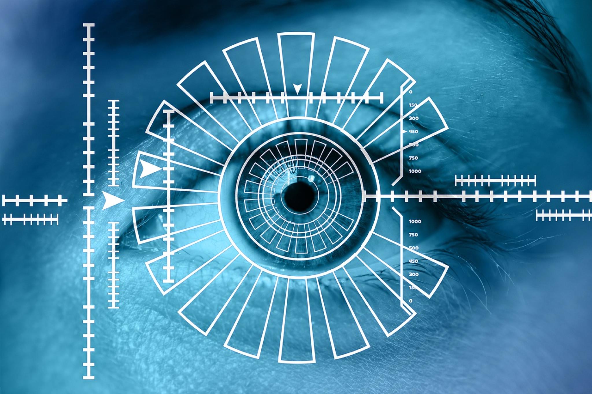 Digital scan of human iris