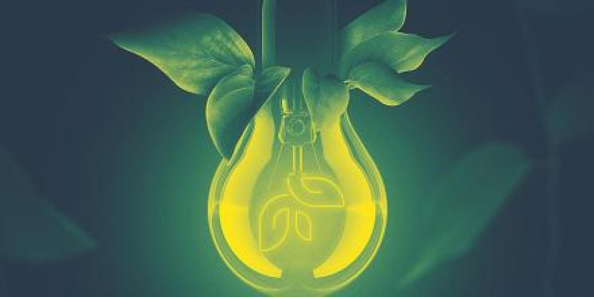 Image: Conversations 3, Opportunities. Leafy Lightbulb