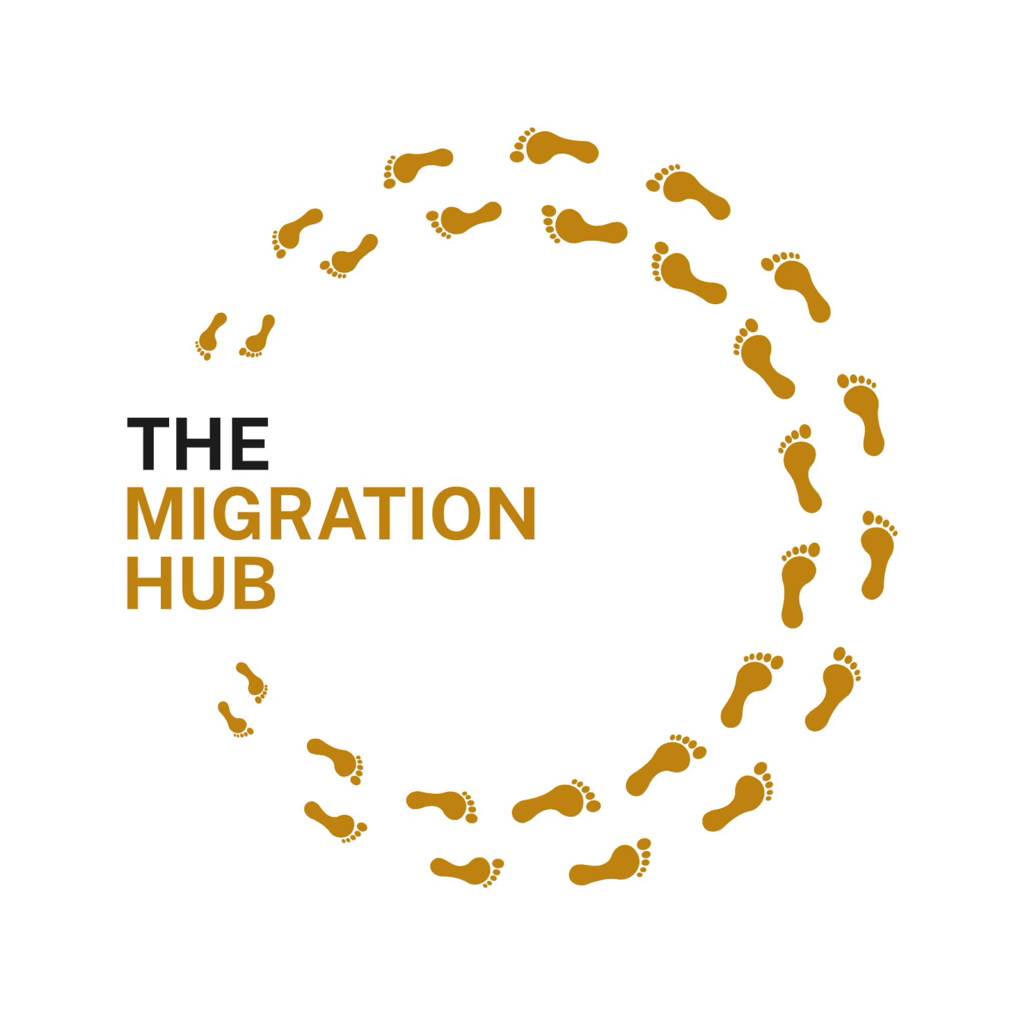 The Migration Hub