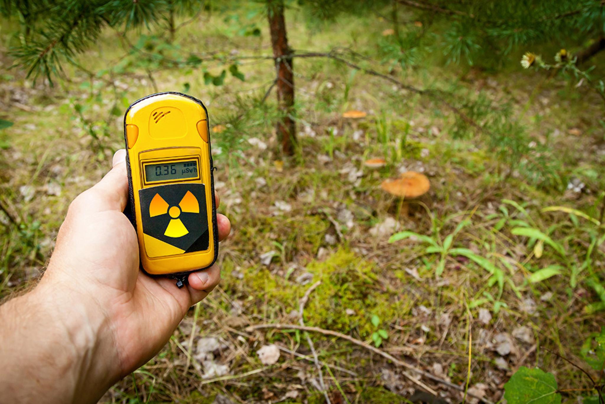 first person view of a Dosimeter being used to survey a scene of grass and a tree