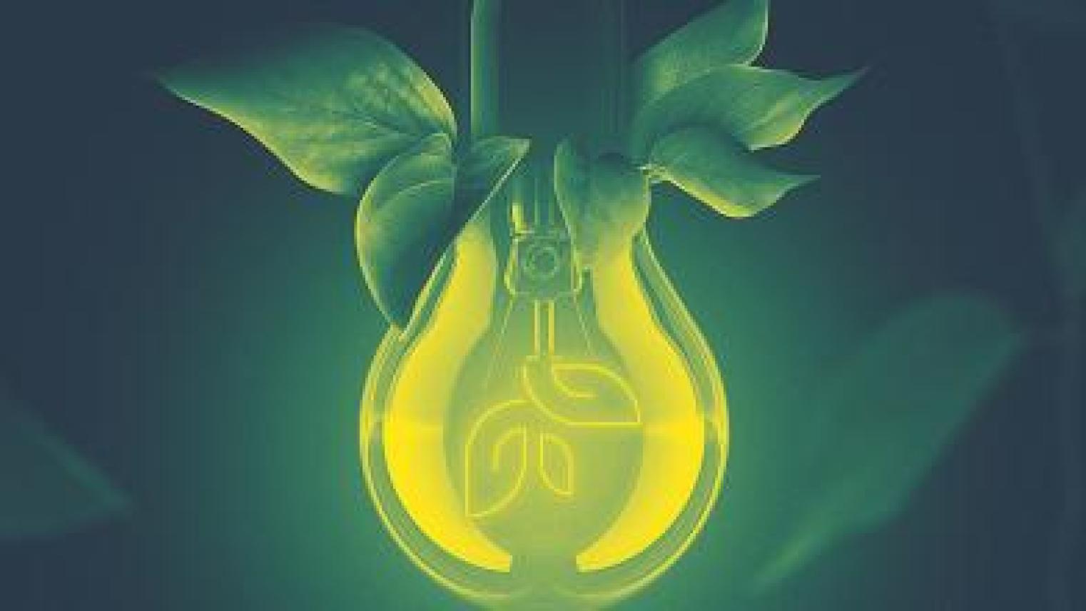 Image: Conversations 3, Opportunities. Leafy Lightbulb
