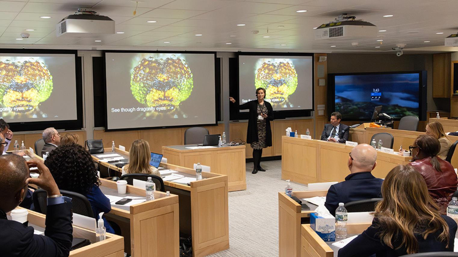 Anthea Roberts at Harvard Law School workshop